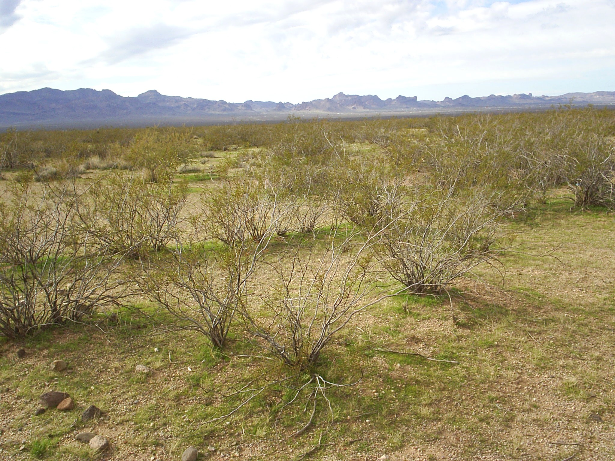 Golden Valley Lot M-2